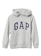 Hoddie gap gray