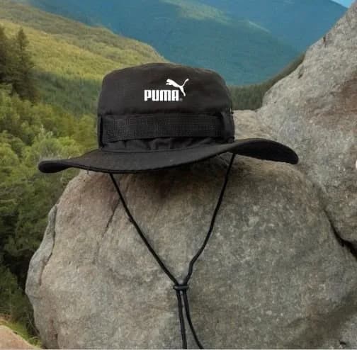 Safari puma negro