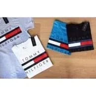 Camiseta tommy hilfiger large