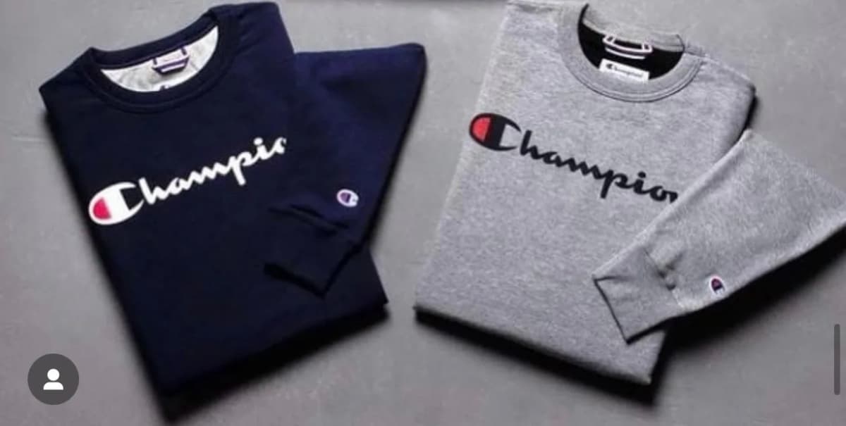 Buzo champion cr gray